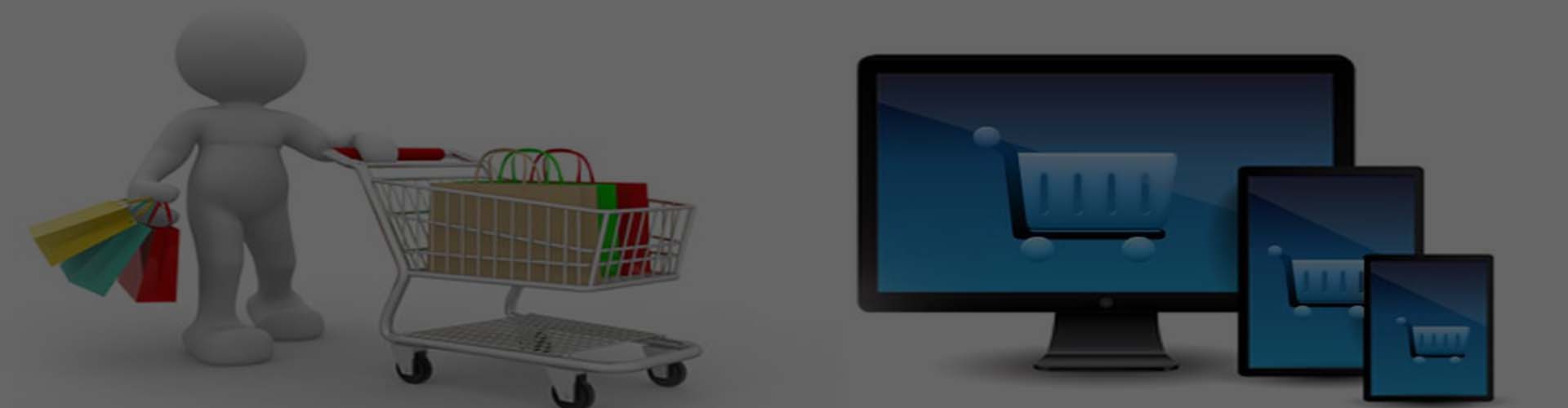 e commerce solution company in chennai|gym managemnt system software